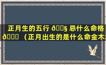 正月生的五行 🐧 忌什么命格 🐝 （正月出生的是什么命金木水火土）